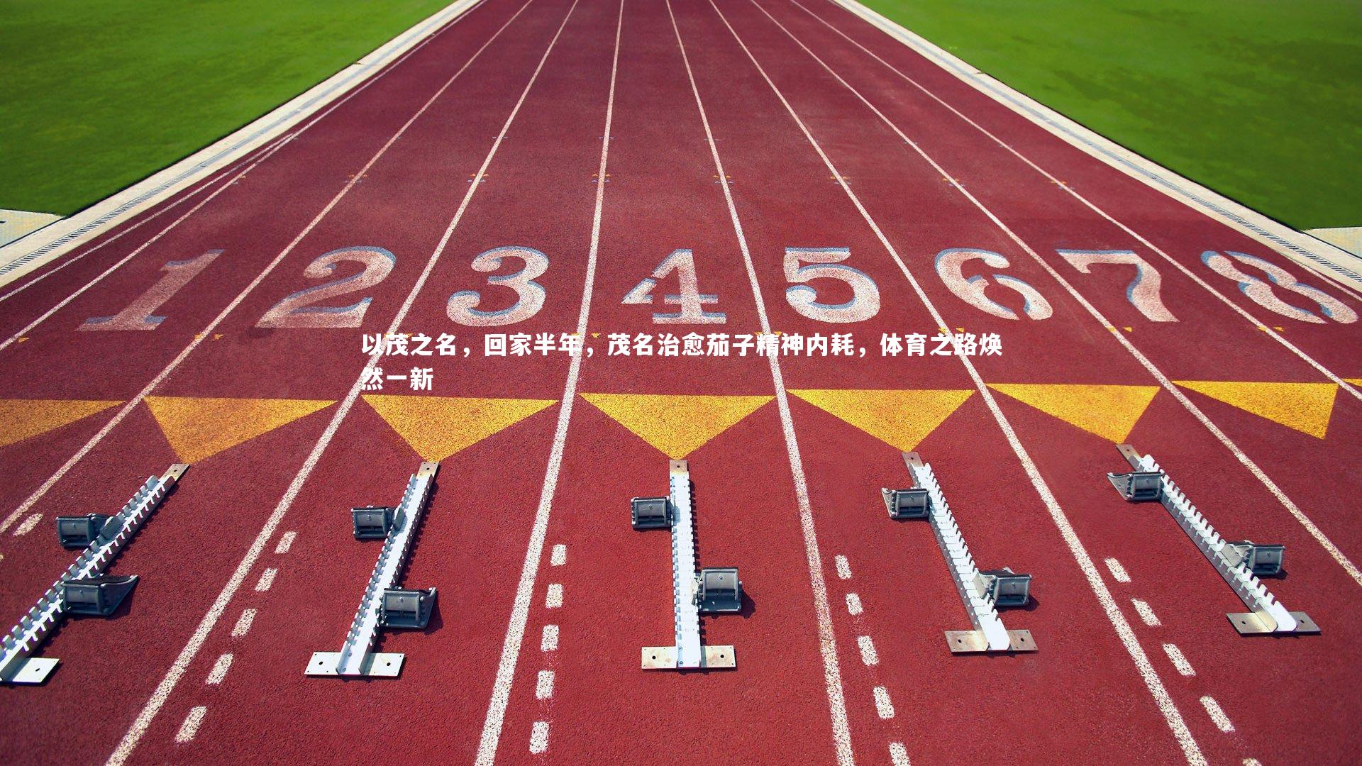 以茂之名，回家半年，茂名治愈茄子精神内耗，体育之路焕然一新