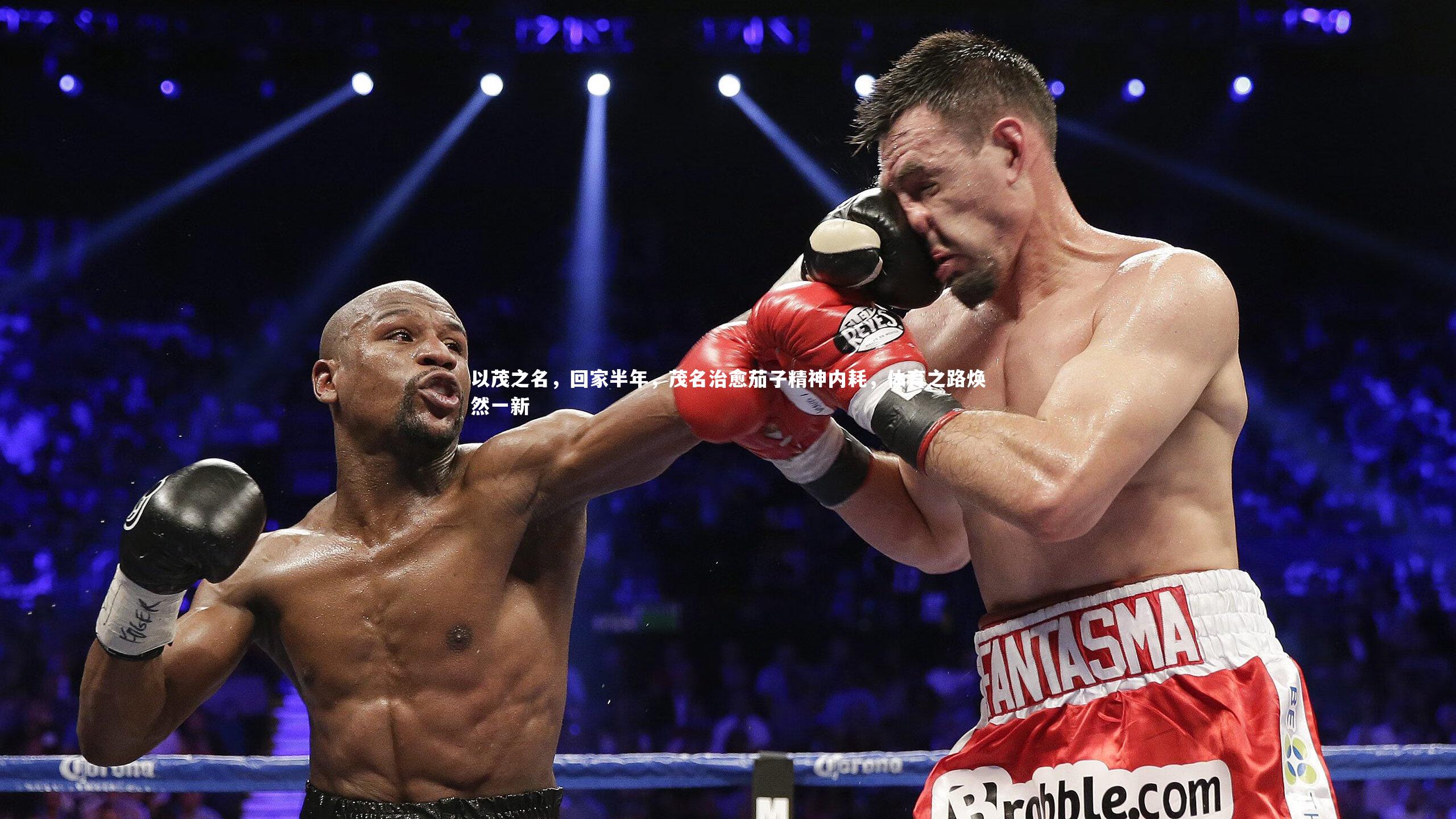 以茂之名，回家半年，茂名治愈茄子精神内耗，体育之路焕然一新